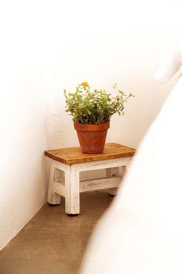 Estudio Ii Ideal Parejas En La Playa Alguer Appartement *