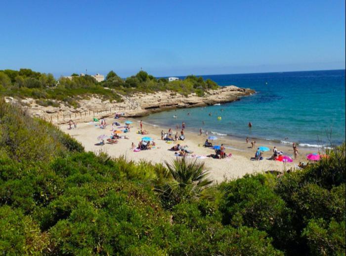 Estudio Ii Ideal Parejas En La Playa Alguer *